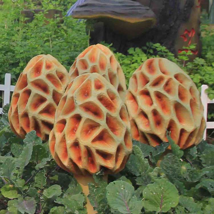 ���������r(sh��)ԓ����x����ϣ�